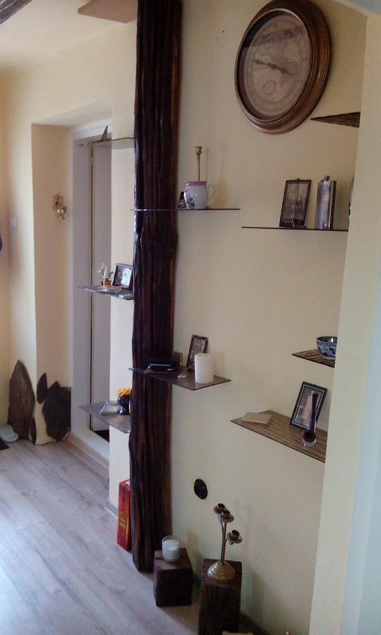Casa Cosmin Guest House Dobra Exterior photo