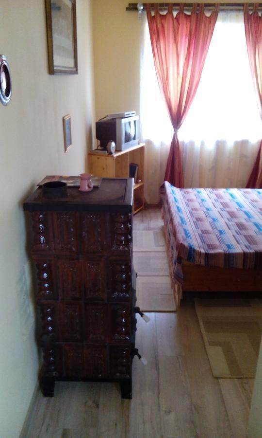 Casa Cosmin Guest House Dobra Exterior photo